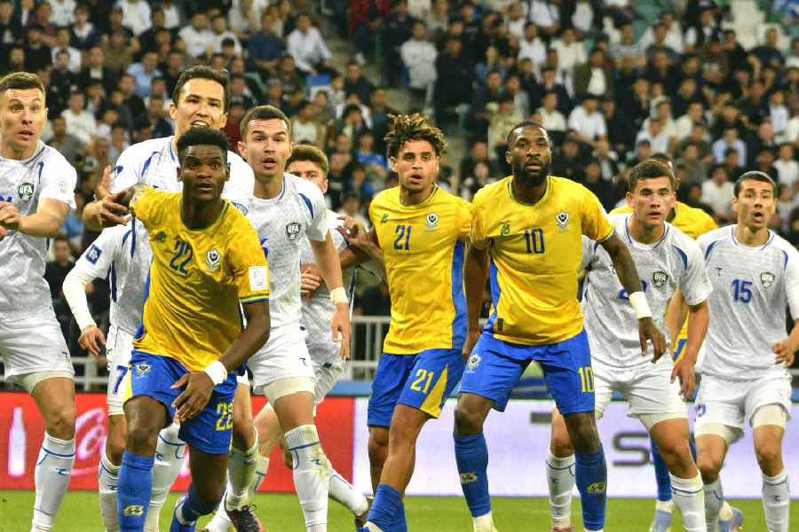 Les Panthères Les Panthères